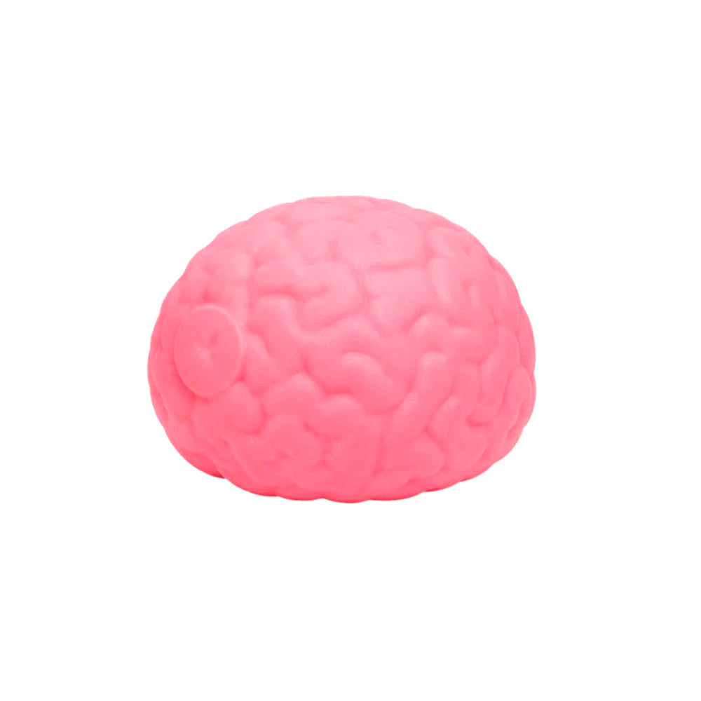 Squishy Brein