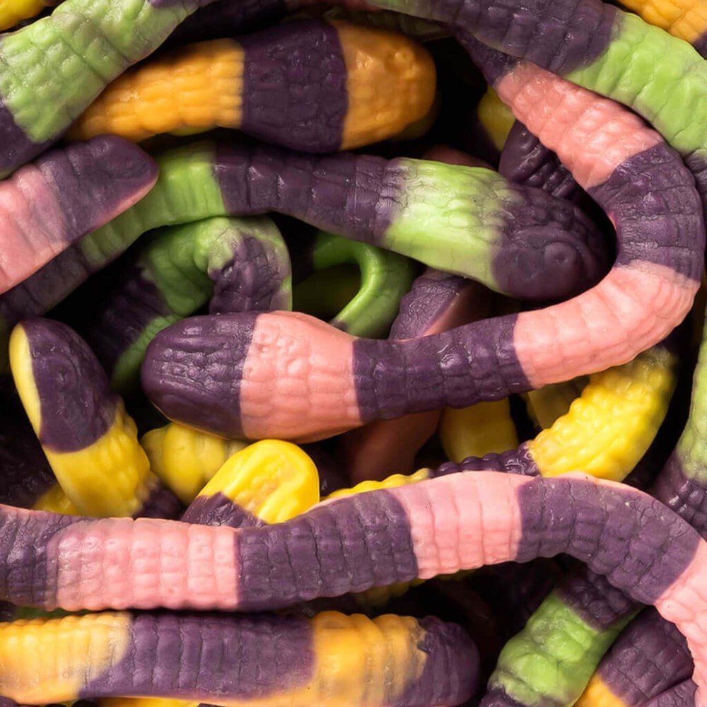 Vidal Anaconda's